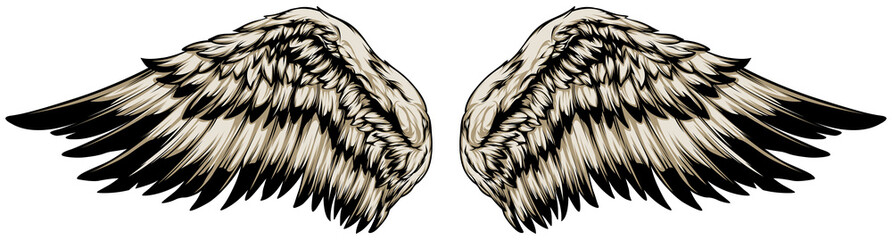 Bird wings vector illustration tattoo style. Hand drawn design element.