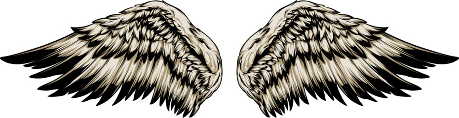 Bird wings vector illustration tattoo style. Hand drawn design element.