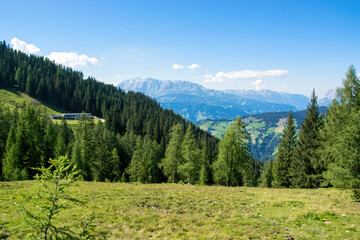 Fototapeta na wymiar Panorama of Austrian Alps with forest and green meadow. Grafenberg Hill, Wagrain.