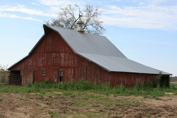 Disappearing from our Landscape