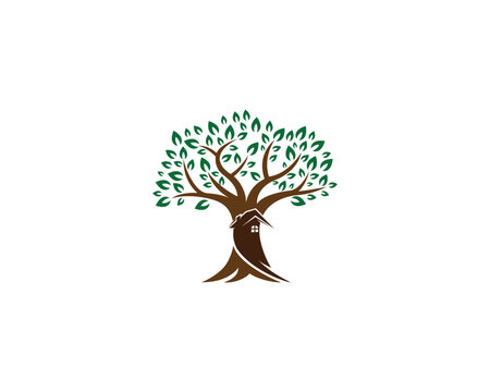 Home And Tree Natural Logo Template. Unique natural tree and home Vector illustration.