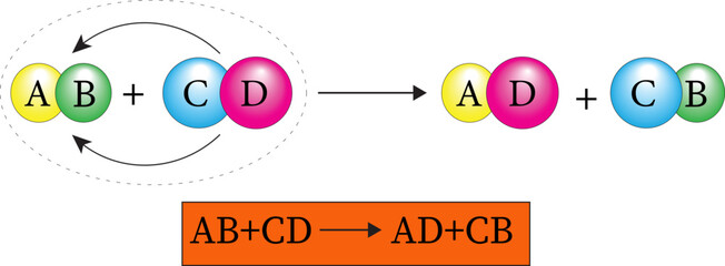 Double decomposition reaction vector image