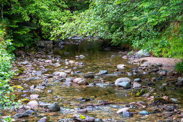 Au bord des petites rivières