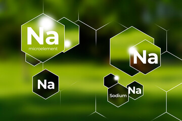 Immunity protection concept, Na, Sodium. Hexagons with Na, Sodium icon, blurry green background.