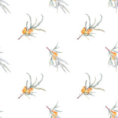 Pattern with orange sea buckthorn. Sea buckthorn for healthy life and design background. Hand painted. Botanical natural. Seamless pattern, an illustration for postcards, posters, textile design.