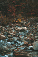 Obraz na płótnie Canvas small river flowing through the forest. mountain stream