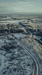 Vertical picture of frozen forest.