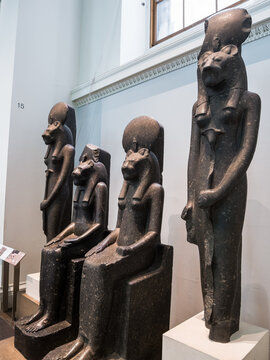 London, UK, January 28th 2023: Four Granodiorite standing statues of lioness Sekhmet. 18th Dynasty, temple of Mut, upper Egypt in Karnak, Thebe. The British Museum, Egyptian collection. 