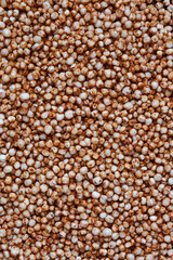 texture consisting of quinoa popcorn