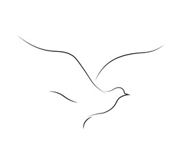 minimal vector design with flying bird on white background