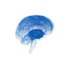 Brain Neural Network