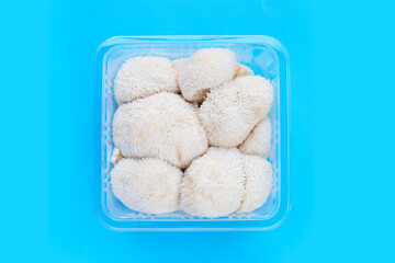 Fresh lion's mane mushroom on blue background.
