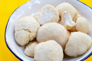 Fototapeta na wymiar Fresh lion's mane mushroom on yellow background.