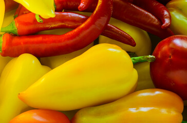 colorful pepper for the background.