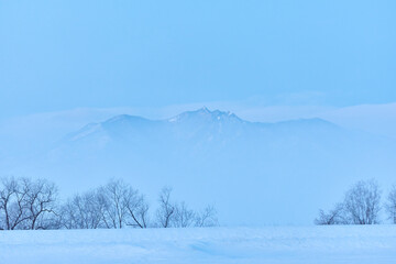 冬の日高山脈