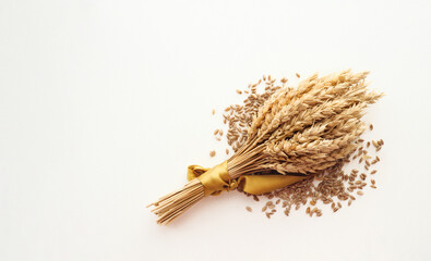 Wheat spikes and grains, top view. Bunch of wheat ears isolated on white background. Cereals bundle and seeds composition and copy space.