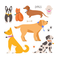 Set of various breed dogs and a cat. Hand drawn cartoon animals vector illustration.
