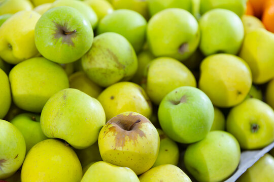 Many of fresh ripe green apples on market, puts out for sale. Close-up image