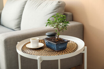 Bonsai tree, cup of coffee and spa stones on table in living room