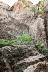 Obraz premium View of natural rock with green moss outdoors