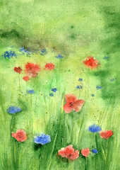 Watercolor poppies