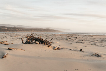 Fototapeta na wymiar Oregon Beach