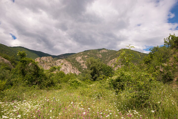 Fototapeta na wymiar View on a field of flowers in Kresna Gorge in South Bulgaria
