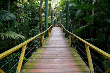 A wooden elevated walkway on tall stilts through the tropical rainforest in the urban Mindu Park of...