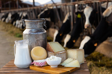 Various types of fresh natural farm dairy products on table on background of open cowshed..
