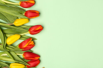 Beautiful tulip flowers on green background. Hello spring