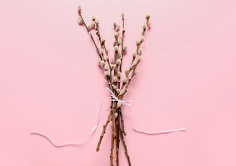 Pussy willow branches tied with ribbon on pink background