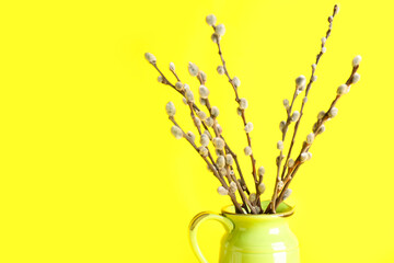 Jug with pussy willow branches and quail eggs on yellow background