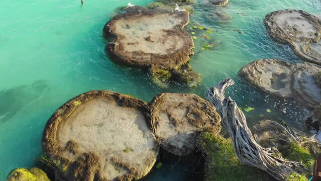 Aerial Drone Shot of Ancient Stromatolites in seven colores lagoon near Bacalar, Quintana Roo, Mexico