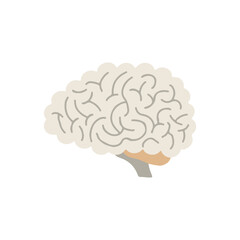 Human Internal organs, cartoon anatomy body part brain, vector illustration