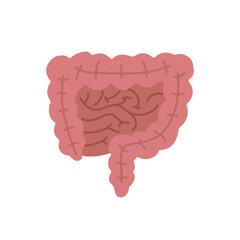 Human Internal organs, cartoon anatomy body part intestinal system, vector illustration
