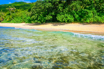 Tropical sandy beach at summer day in Fiji Islands, Pacific ocean