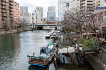 Fototapeta na wymiar 東京の小さな川