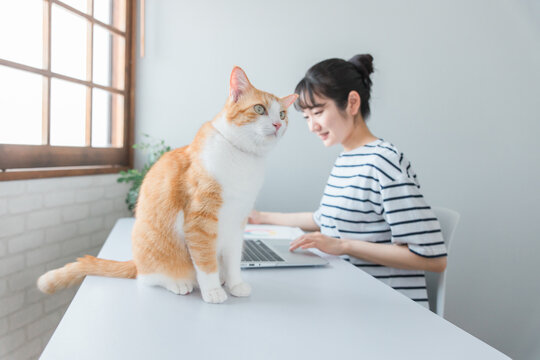 家で猫・ペットと一緒に仕事する女性（在宅勤務・テレワーク・リモートワーク・ネコハラ）
