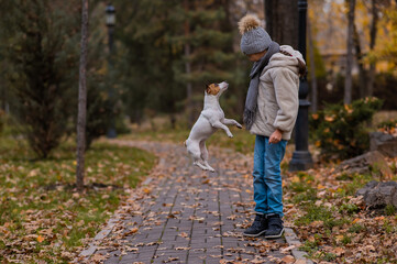 Obraz premium Caucasian girl playing with a dog for a walk in the autumn park. 