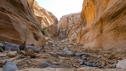 Small freshwater stream flowing through the stunning rocky, remote valley Arabian landscape of...