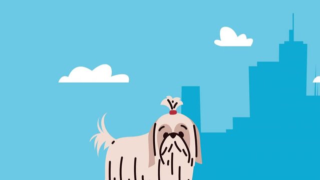 shih tzu pure breed mascot