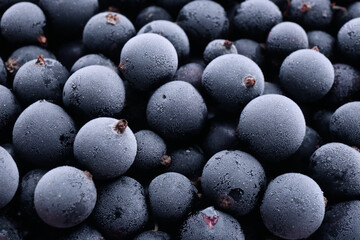 Tasty frozen black currants as background, closeup view