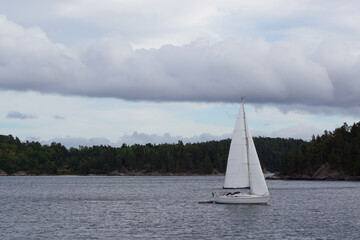 sailing on the lake