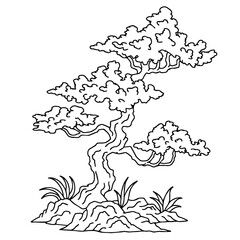 design illustration asian bonsai tree outline