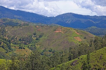 Fototapeta na wymiar Sri Lanka. Beatiful view on landscape in the mountains of Nuwara Eliya.