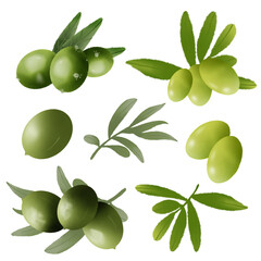 Various fresh fruit drawing watercolor with leaf and branch, png format.