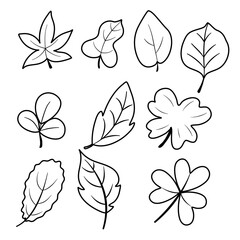 set of leaves doodle