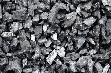 The background consists of wet enriched anthracite coal.