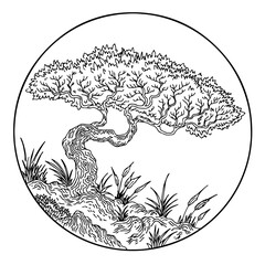 design illustration asian bonsai tree outline