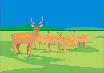 夏の湿原とエゾシカたち02